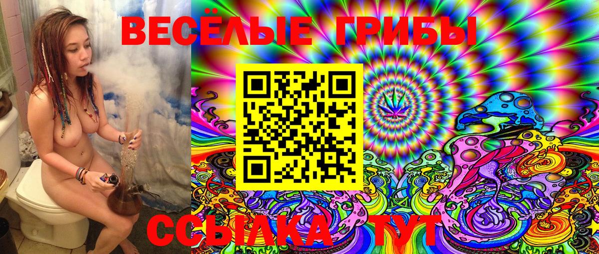 Галлюциногенные грибы Psilocybe Алексин