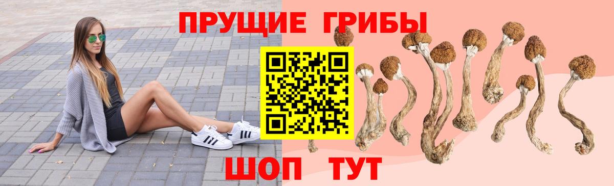 дарнет шоп  Галлюциногенные грибы прущие грибы  Вход с VPN  Галлюциногенные грибы мухоморы  Алексин 